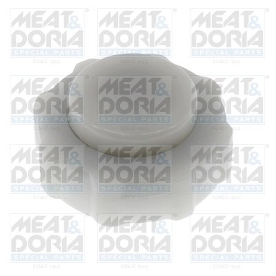 Cap, coolant tank